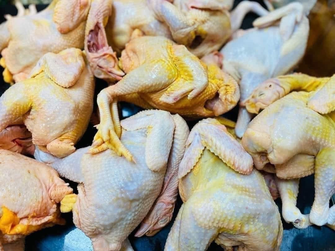 Ga om trung - ct choice chicen confucius style ( 2 con)