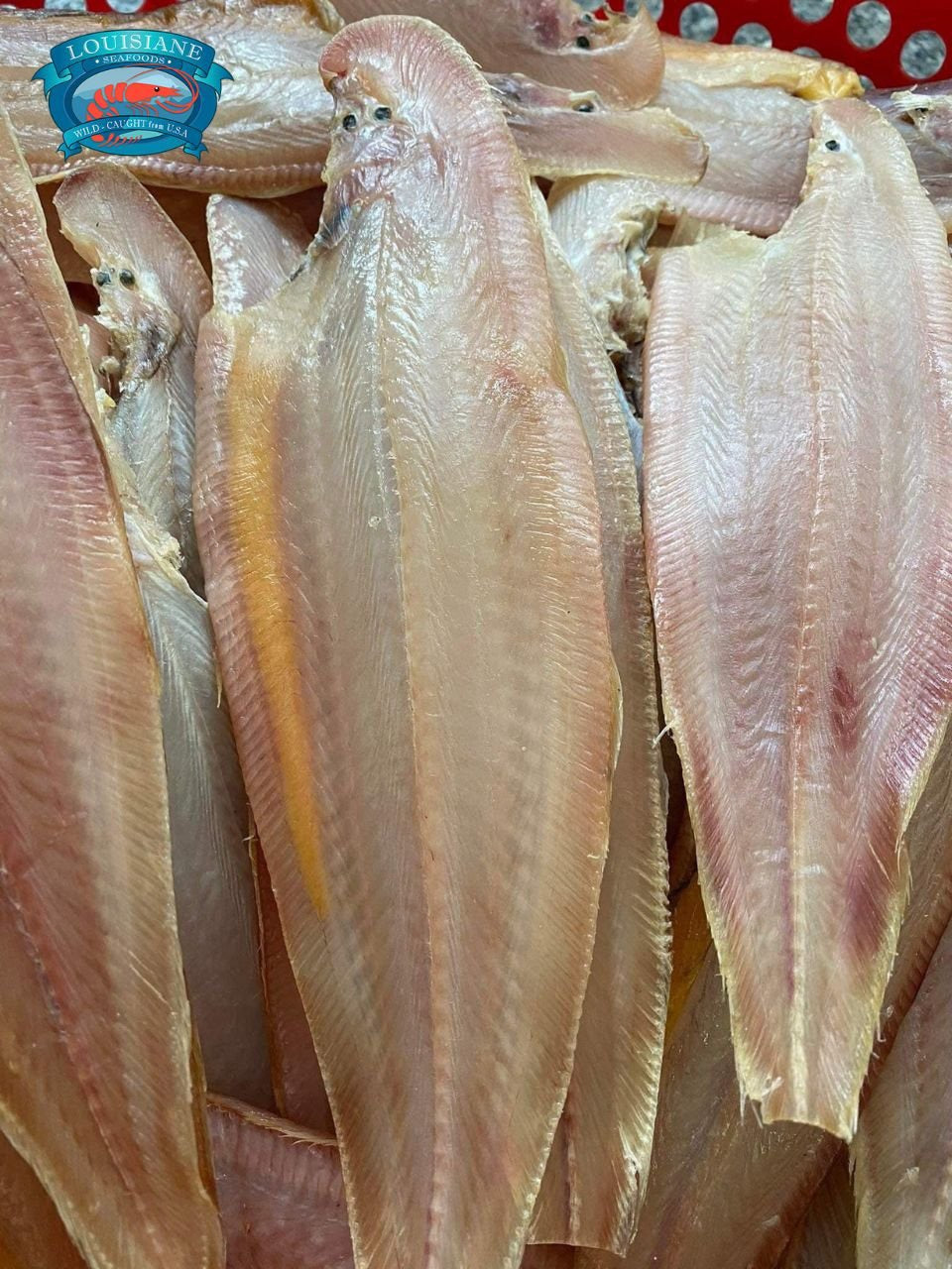 Dried Buffalo Tongue Fish - 1 Sun 454 grams
