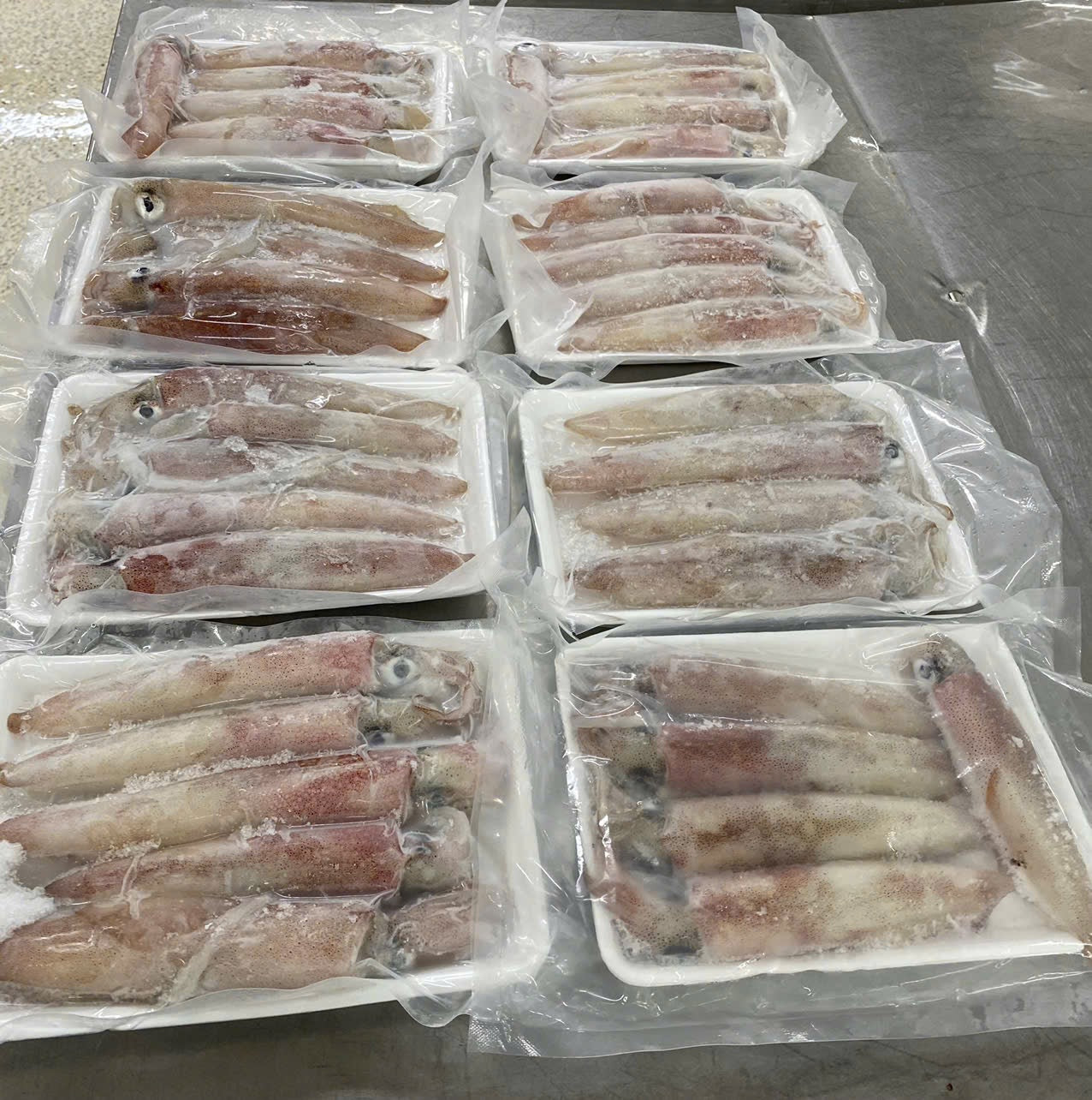 Muc cau Phan Thiet loai 2 (5Pcs/pack) - Loligo Squid 1lb