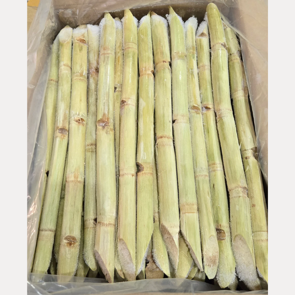 Mia Cay Dong Lanh - Sugar Cane 44lb