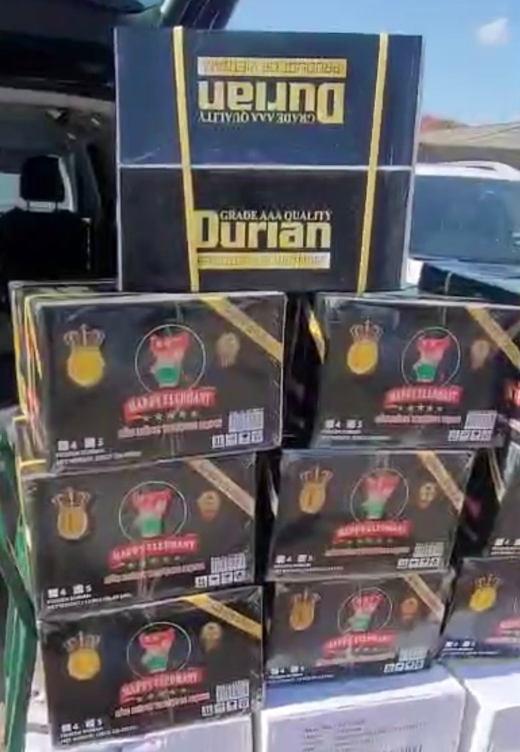 SAU RIENG RI6 /HAPPT ELEPHANT/ DURIAN RI6, WHOLE 26.46LBS+ $45 (FREESHIP OVERNIGHT)