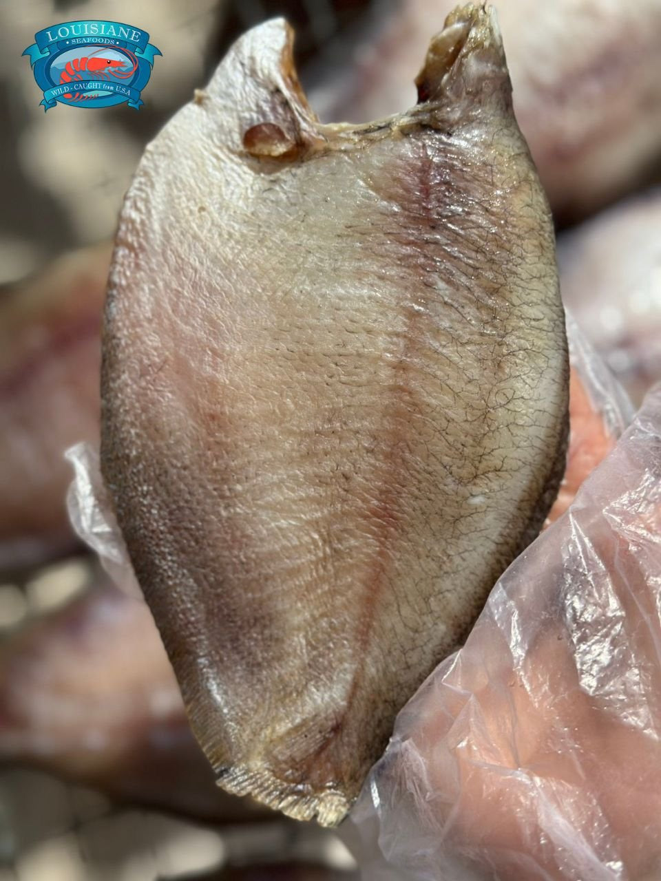 Dried Sac Boi Fish - Second Sun-dried (454 Grams)
