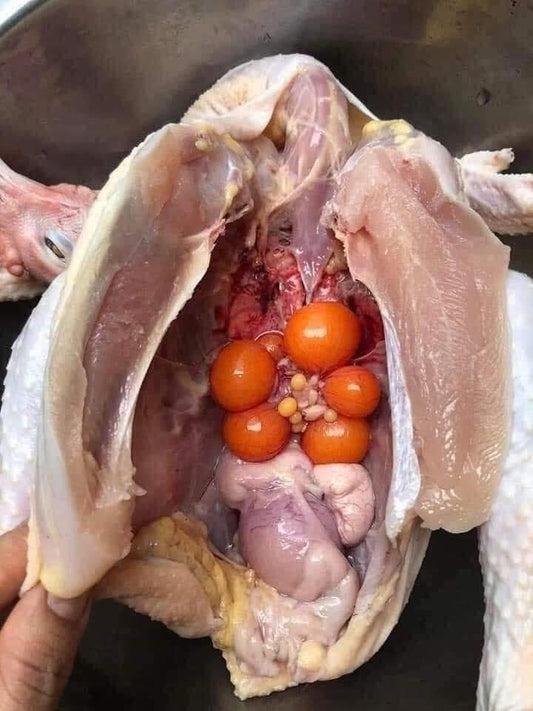 Ga om trung - ct choice chicen confucius style ( 2 con)