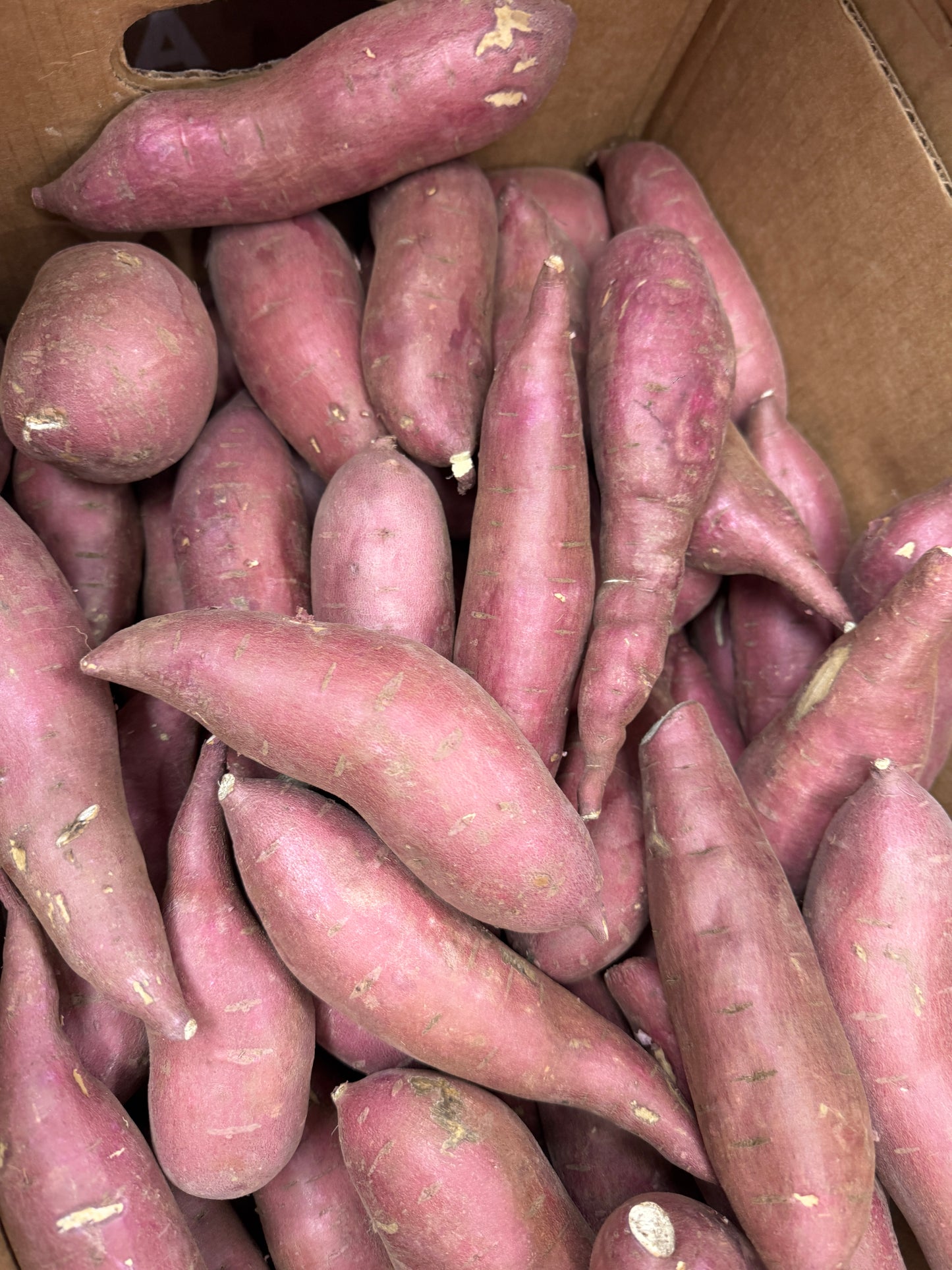 Khoai Lang nhat - 3/1lb