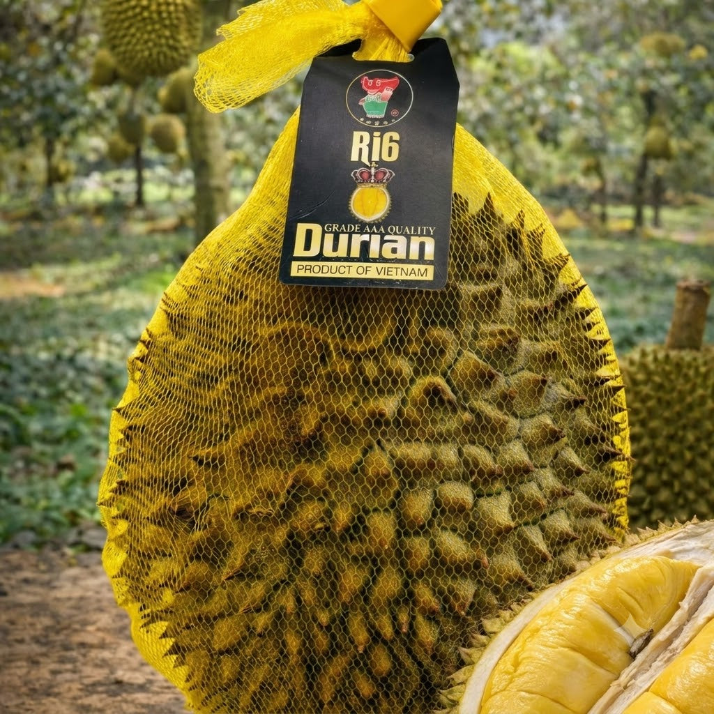 SAU RIENG RI6 / DURIAN Ri6 12KG/CS