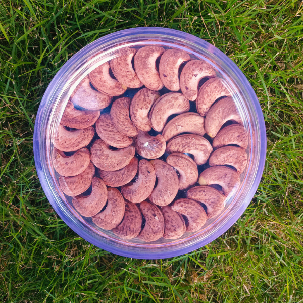 Hạt Điều Rang Muối ( còn võ )0.62LP / 280g - Salted roasted cashews