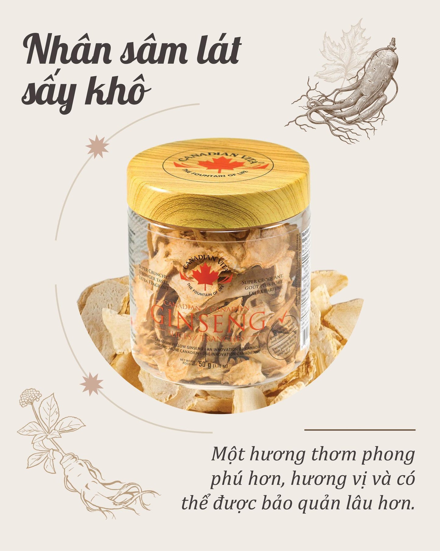 Dried Ginseng - Ginseng Slices Great for Tea and Cooking
