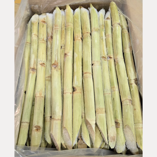 Mia Cay Dong Lanh - Sugar Cane 44lb