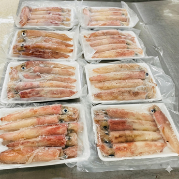 Muc cau Phan Thiet loai 2 (5Pcs/pack) - Loligo Squid 1lb