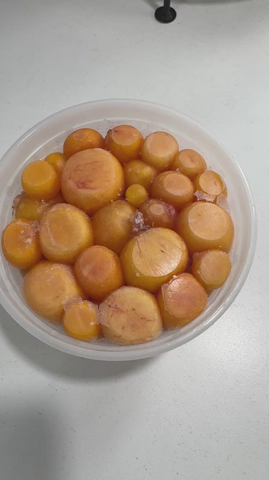 Trung  Ga Non