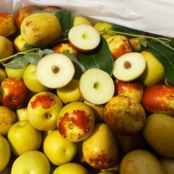 Hong tao tau/Fresh Jujube/1HOP 1LBS