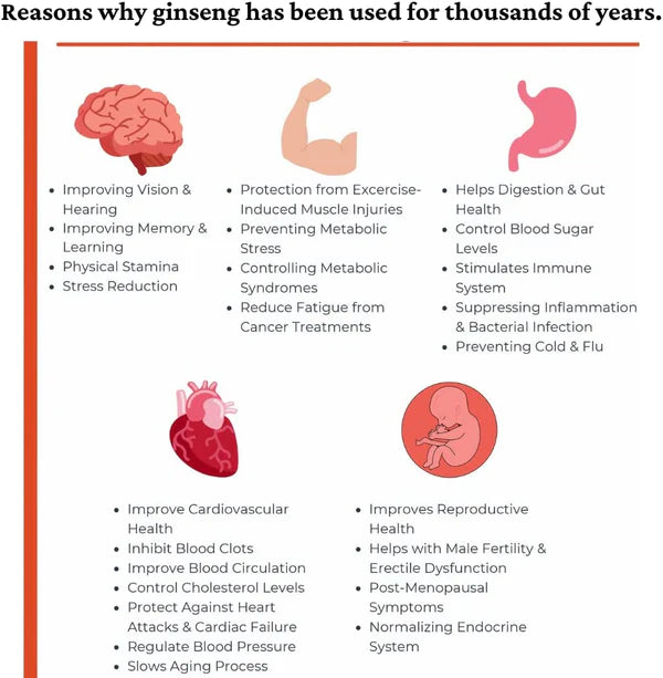 Immune System and Energy Support - Perfect for Cooking, Smoothies, Coffee and Tea 