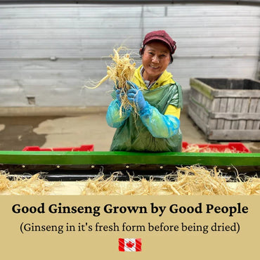 Re Nhan Sam - Ginseng 5 Year Roots - Great for Tea and Cooking