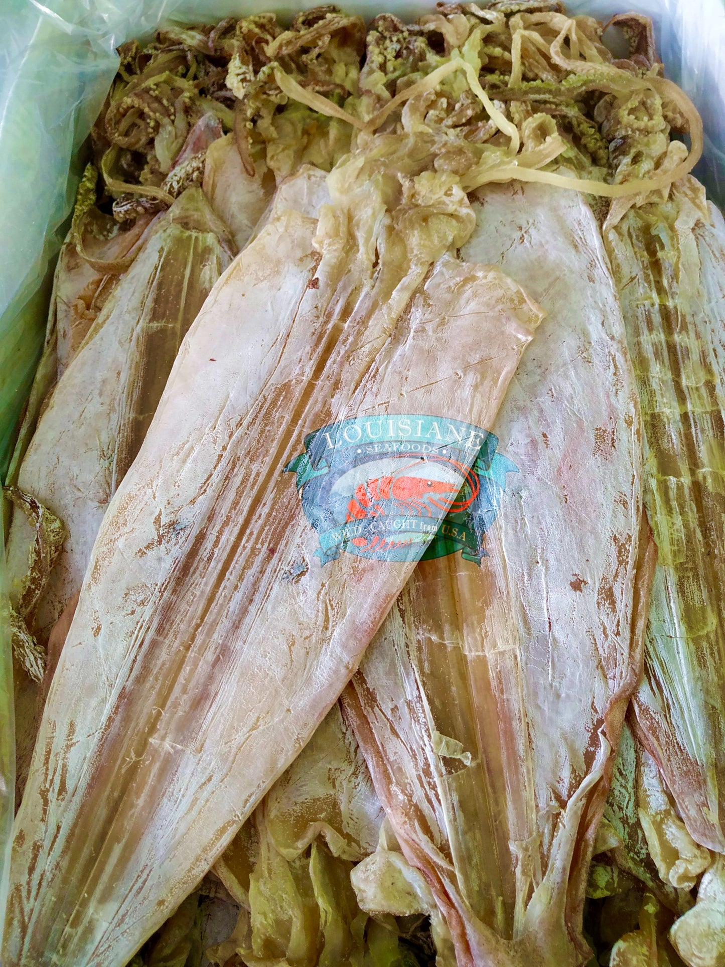 Khô Mực Bình Đại - Size King 454 gram